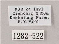 井上氏絨毛天蛾藏品圖，第3張