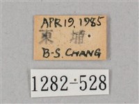 盾天蛾藏品圖，第3張