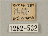 全緣缺角天蛾藏品圖，第3張