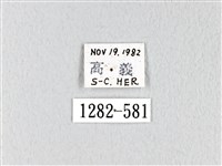 緣斑枯葉蛾藏品圖，第3張