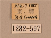 背中白天蛾藏品圖，第3張