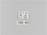 波紋枯葉蛾藏品圖，第3張