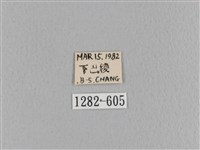 臺灣枯葉蛾藏品圖，第3張