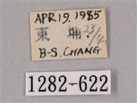 榆綠天蛾藏品圖，第3張