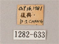 臺灣白肩天蛾藏品圖，第3張