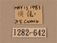 背中白天蛾藏品圖，第3張