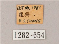 臺灣白肩天蛾藏品圖，第3張