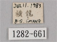 桃紅六點天蛾藏品圖，第3張