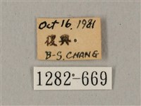 鬼臉天蛾藏品圖，第3張