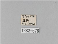 馬尾松枯葉蛾藏品圖，第3張