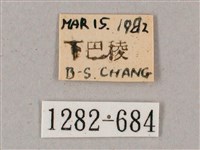 榆綠天蛾藏品圖，第3張