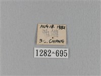 緣斑枯葉蛾藏品圖，第3張