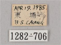 桃紅六點天蛾藏品圖，第3張