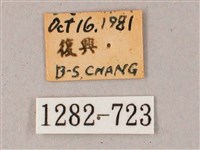 雙斑白肩天蛾藏品圖，第3張