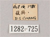 雙斑白肩天蛾藏品圖，第3張