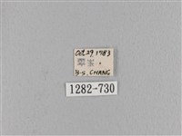 波紋枯葉蛾藏品圖，第3張