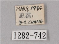 榆綠天蛾藏品圖，第3張