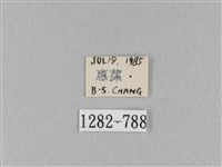 馬尾松枯葉蛾藏品圖，第3張