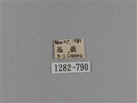 波紋枯葉蛾藏品圖，第3張