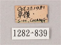 雙斑白肩天蛾藏品圖，第3張