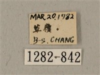 全緣缺角天蛾藏品圖，第3張