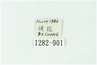 三色豔苔蛾藏品圖，第3張