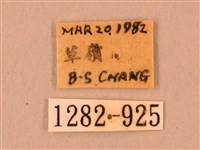 臺灣鋸翅天蛾藏品圖，第3張