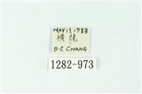 三色豔苔蛾藏品圖，第3張