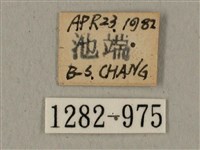 全緣缺角天蛾藏品圖，第3張