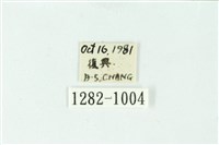 三色豔苔蛾藏品圖，第3張