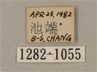 全緣缺角天蛾藏品圖，第3張