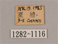 黑角六點天蛾藏品圖，第3張