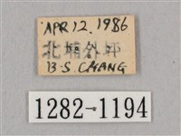 黑角六點天蛾藏品圖，第3張