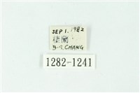 三色豔苔蛾藏品圖，第3張