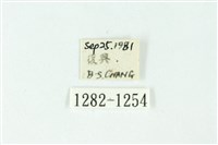 三色豔苔蛾藏品圖，第3張