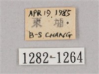 盾天蛾藏品圖，第3張