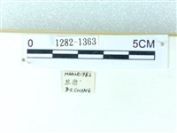 粉蝶燈蛾藏品圖，第3張