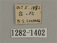 叉帶長喙天蛾藏品圖，第3張