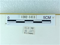 粉蝶燈蛾藏品圖，第3張