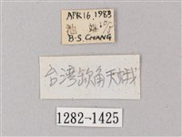 臺灣缺角天蛾藏品圖，第3張