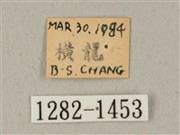 白點天蛾 藏品圖，第3張