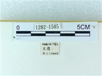 粉蝶燈蛾藏品圖，第3張