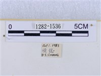 閃光苔蛾藏品圖，第3張