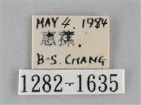 扁刺蛾藏品圖，第3張