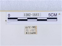 閃光苔蛾藏品圖，第3張