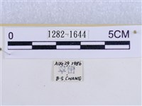 後凸蝶燈蛾藏品圖，第3張