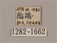 圓斑鷹翅天蛾藏品圖，第3張