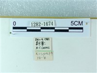 粉蝶燈蛾藏品圖，第3張