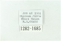 赭新污燈蛾藏品圖，第3張