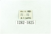 臺雪苔蛾藏品圖，第2張